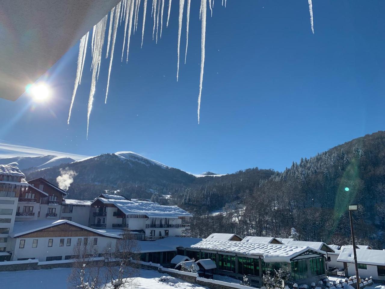 Snow Pine Suite - 4 Star Resort Bakuriani Dış mekan fotoğraf