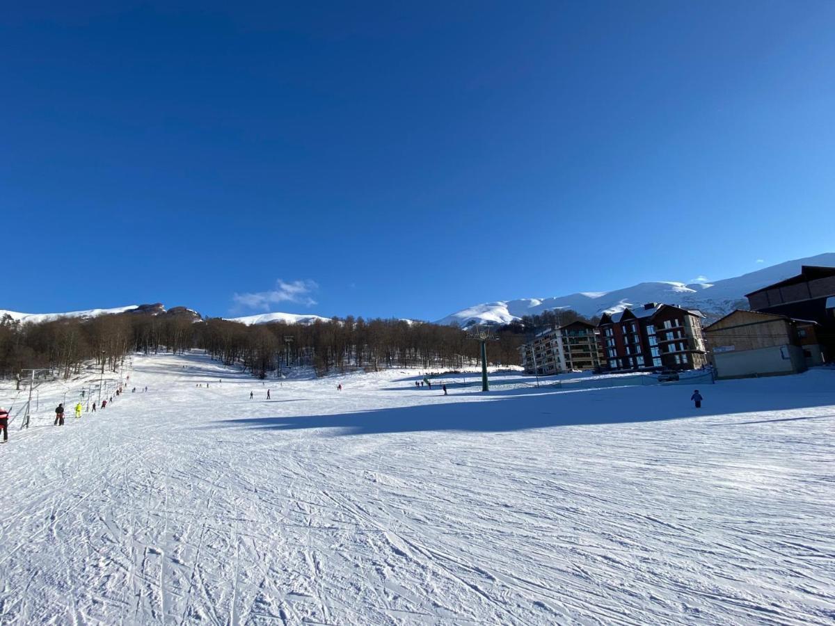Snow Pine Suite - 4 Star Resort Bakuriani Dış mekan fotoğraf